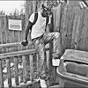 acrobert18